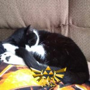 hunterblumer18 avatar