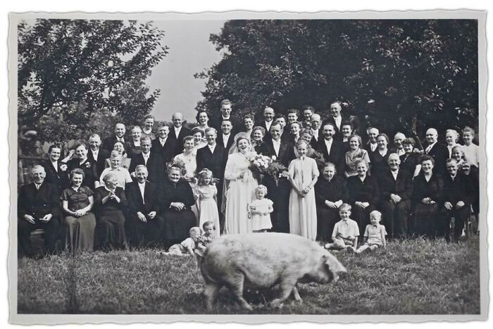 A Pig Ran Through Grandmas Wedding Photo - 1927