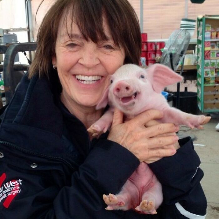 Here's A Picture Of My Mom Holding A Smiling Piglet