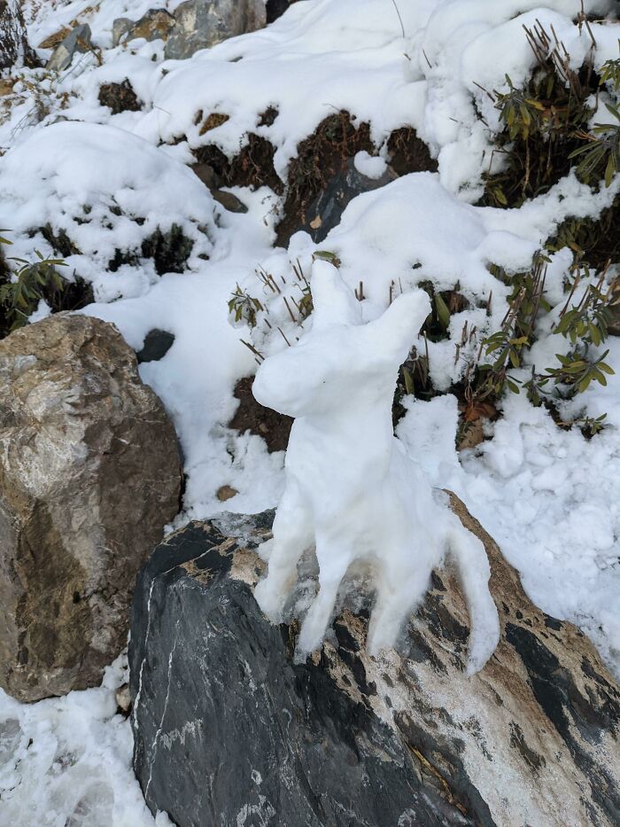 A Snow Sculpture Of A Fox/Puppy My Aunt Made