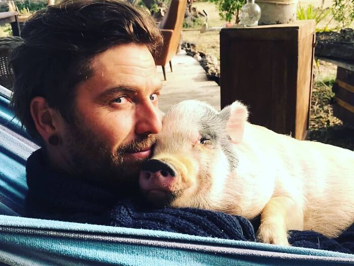 Happy Pig Giving A Hug In A Hammock