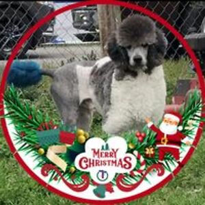 darknessfalls_again avatar