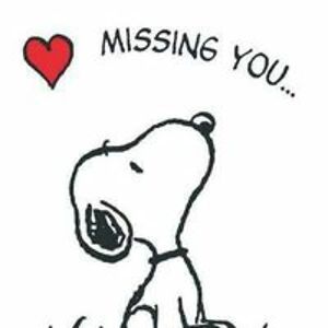 cuteasapirate avatar