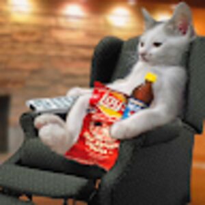 diannkilcourse avatar