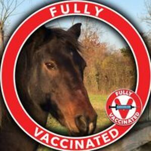 jazzymorgan1313 avatar