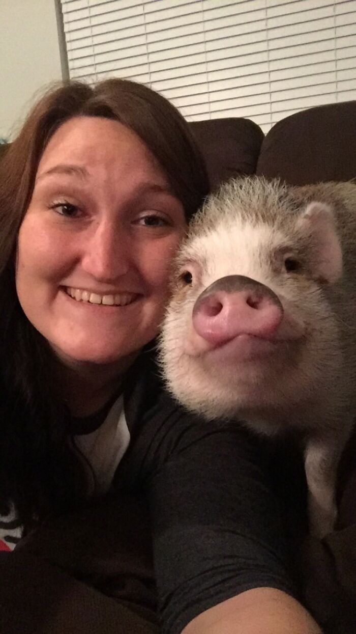 My Pig's Selfie Game Is Strong
