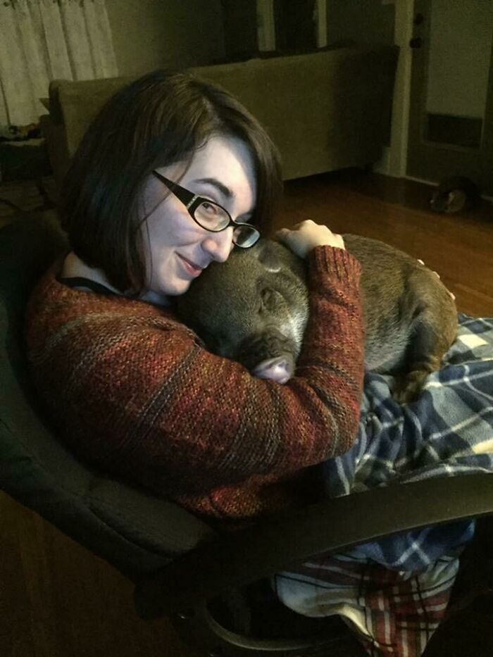 Every Night, My Pet Pig Greets Me At The Door And Demands To Be Snuggled