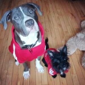 curiouscreaturesottawa avatar