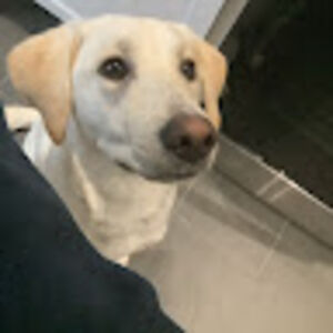 elliotmcguffey avatar