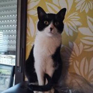 christellevanaerde avatar