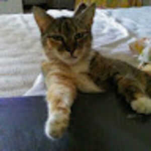 valeenacaballero avatar