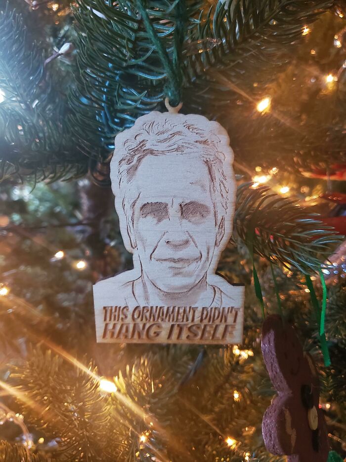 My Favorite New Ornament Hanging On The Tree