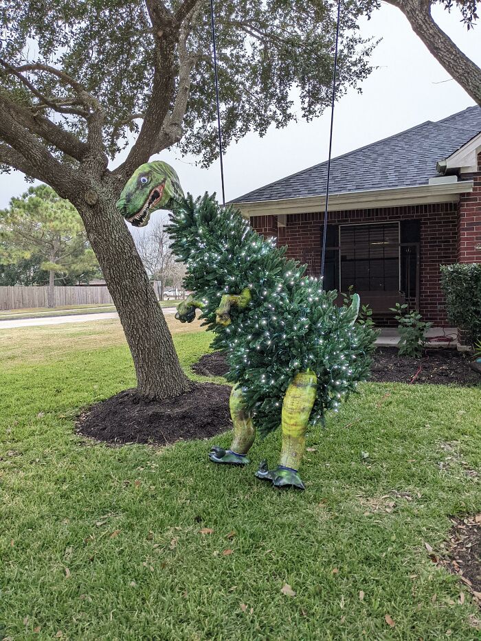 A Tree-Rex Was Spotted In My Yard
