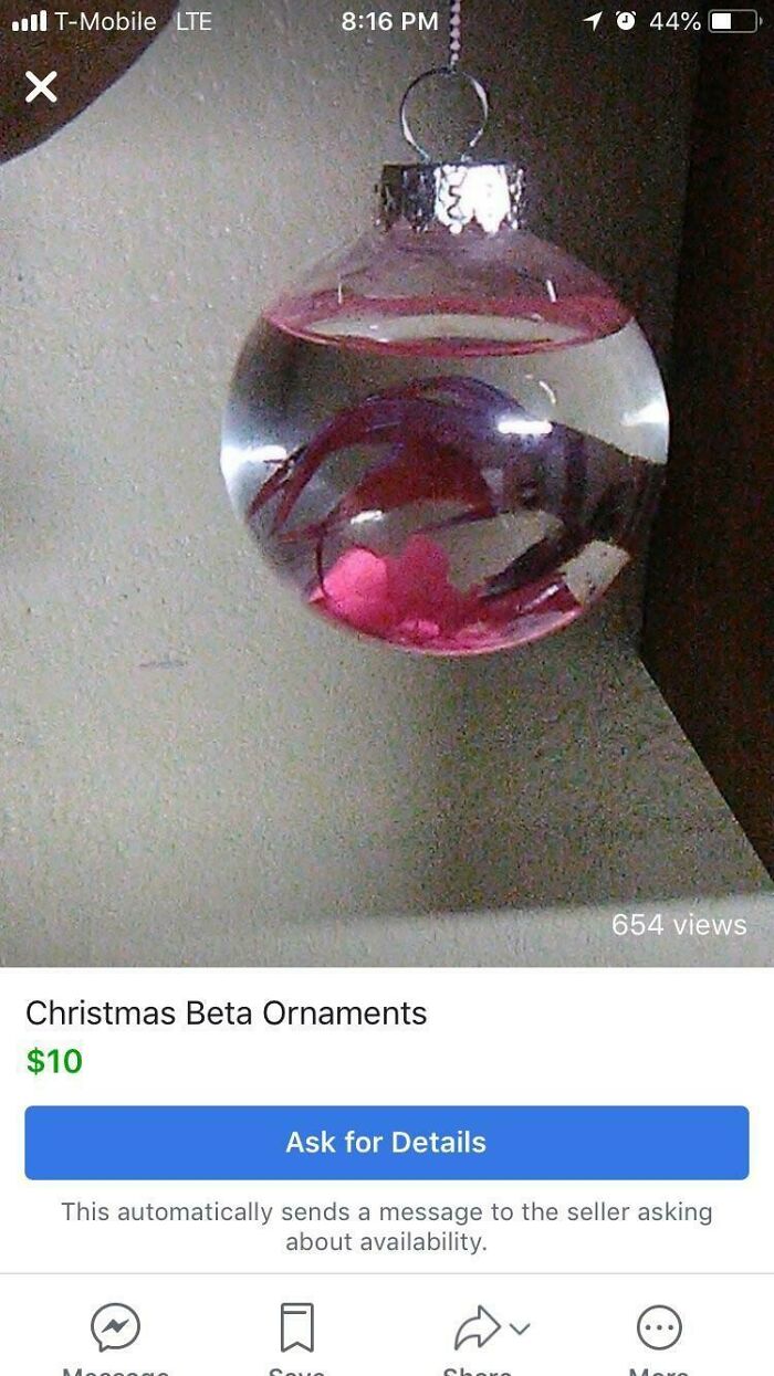 Using A Living Creature To Make Your Tacky Christmas Decorations