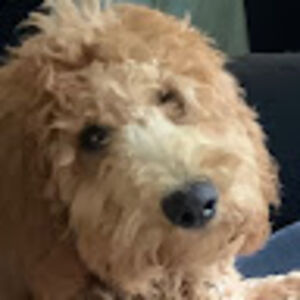 eliprendergast avatar