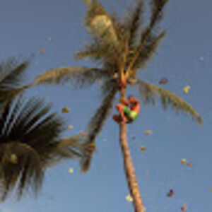 juliamacdougall avatar