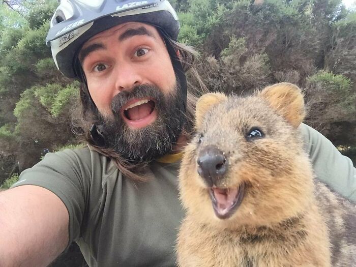 Quokka: The Director's Cut