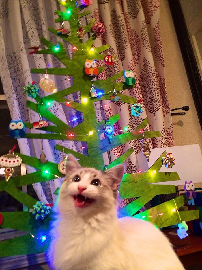 My Friend Was Trying To Take A Photo Of Her New 2D Christmas Tree When Her Kitty Decided To Jump In And Become The Star