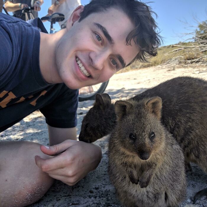 I Met A Quokka
