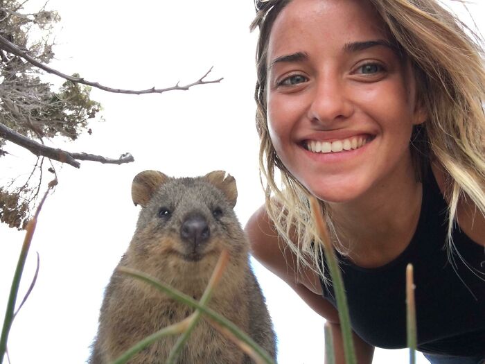 Just Me And A Quokka