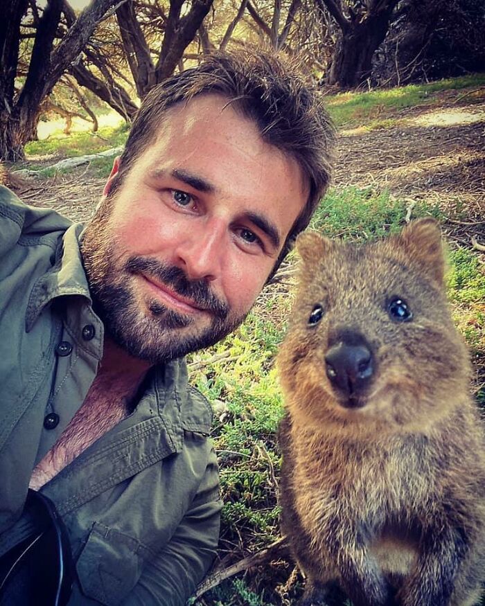 Of Course A Quokka Selfie!