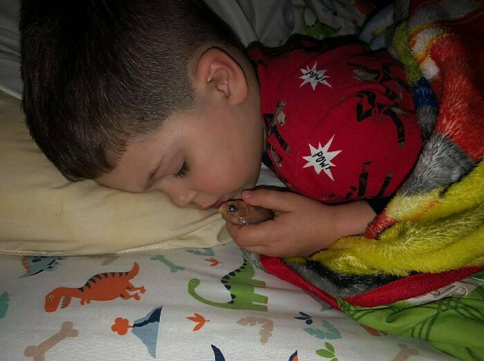 Kid Sleeps With His Pet Goldfish
