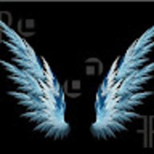 evettescheepers avatar