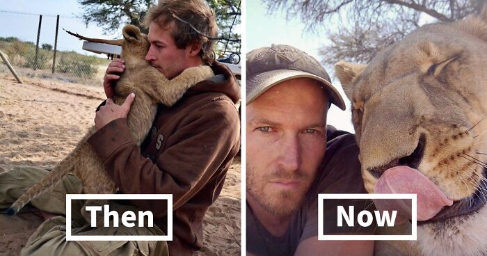 This Lioness Repays Her Caregiver Of 10 Years With Hugs And Cuddles