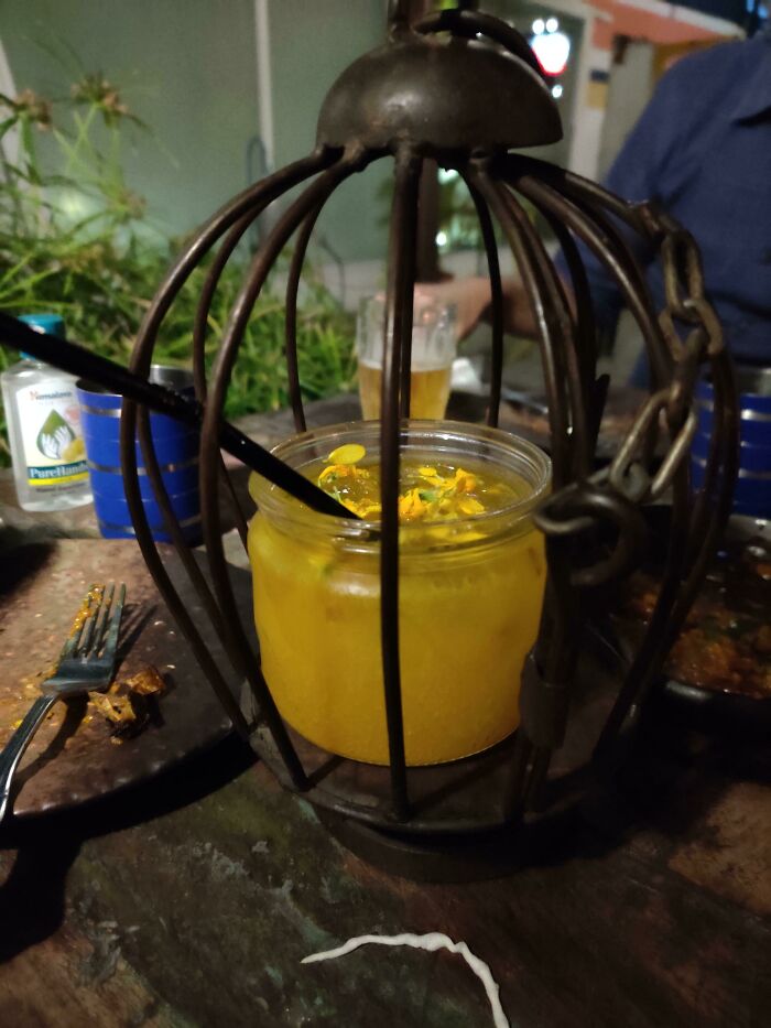 My Cocktail Was Caged Because What If It Flies Away