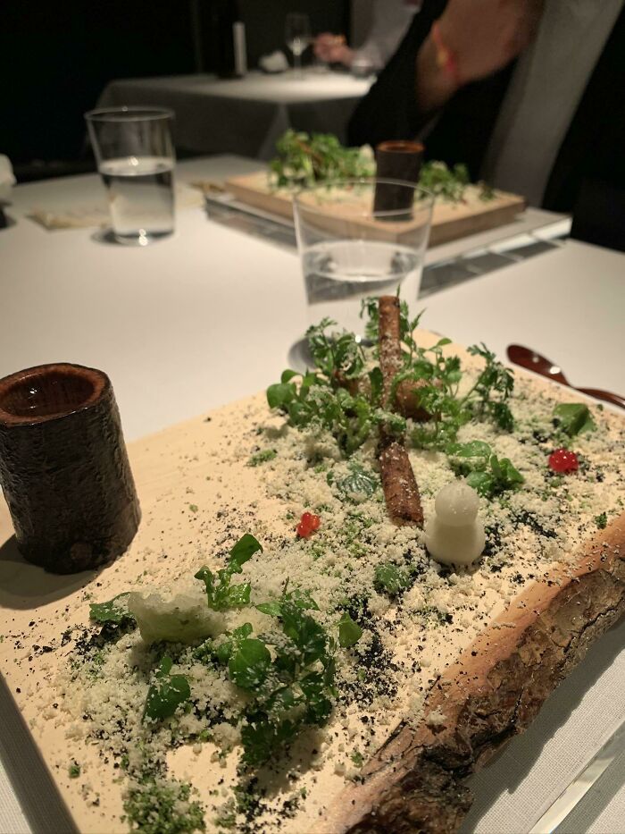 ‘Forest’ Was Served On A Piece Of Tree. Delicious Though