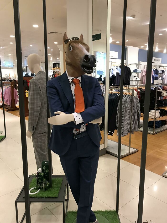 Horse Head Mannequin In John Lewis