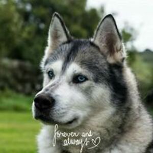 jacquelinestewart1974 avatar