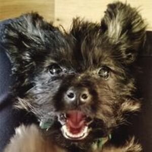 ashley_warner avatar