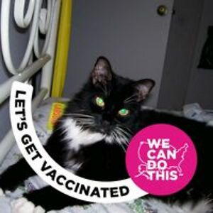 janice_bergeron avatar