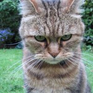 creepygirl_201 avatar