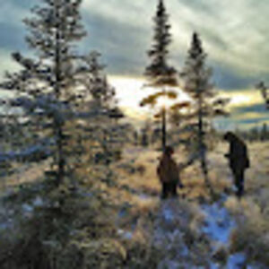 offgridalaska avatar