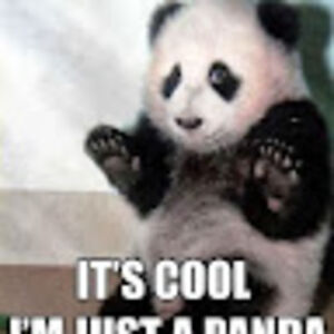 barndogdigital avatar