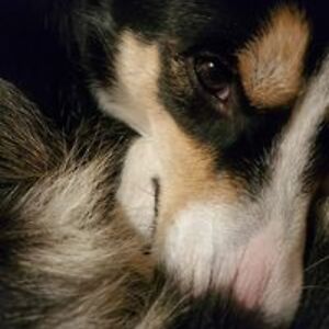 punkrawkperson avatar