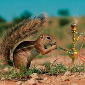 stevenallen909 avatar