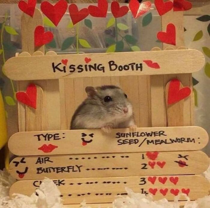 Kissing Booth