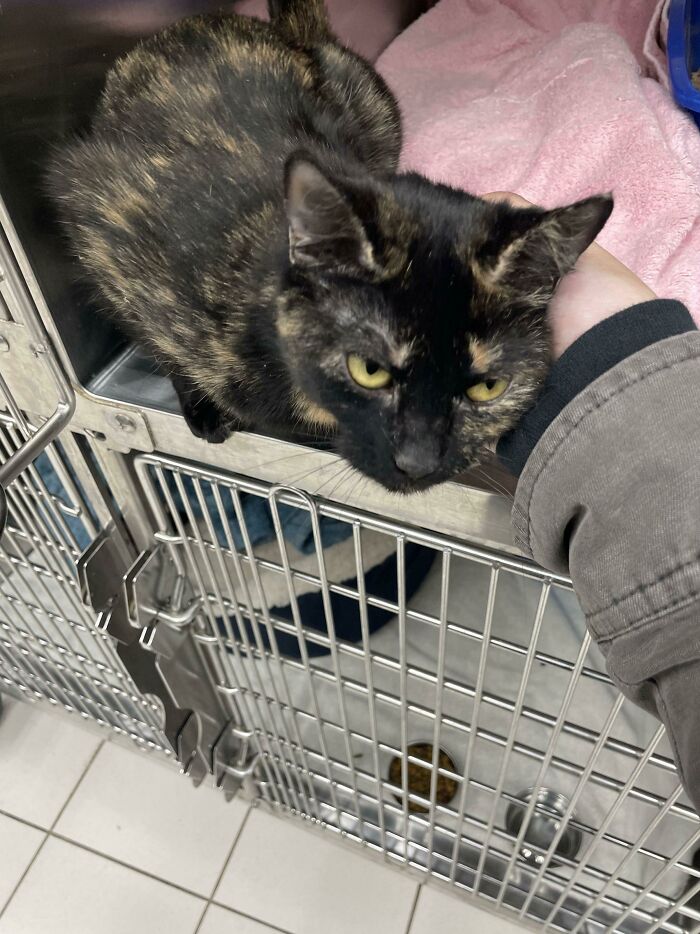 Adopted Her Today! What Should I Name Her?