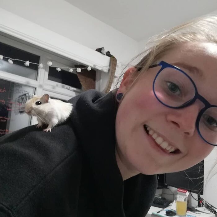 I Raise You A Shoulder Gerbil