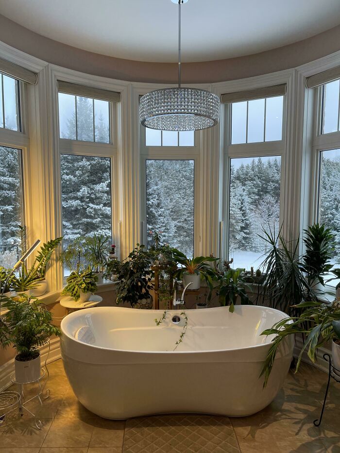 Hermoso baño lleno de plantas con una hermosa vista de invierno, Toronto