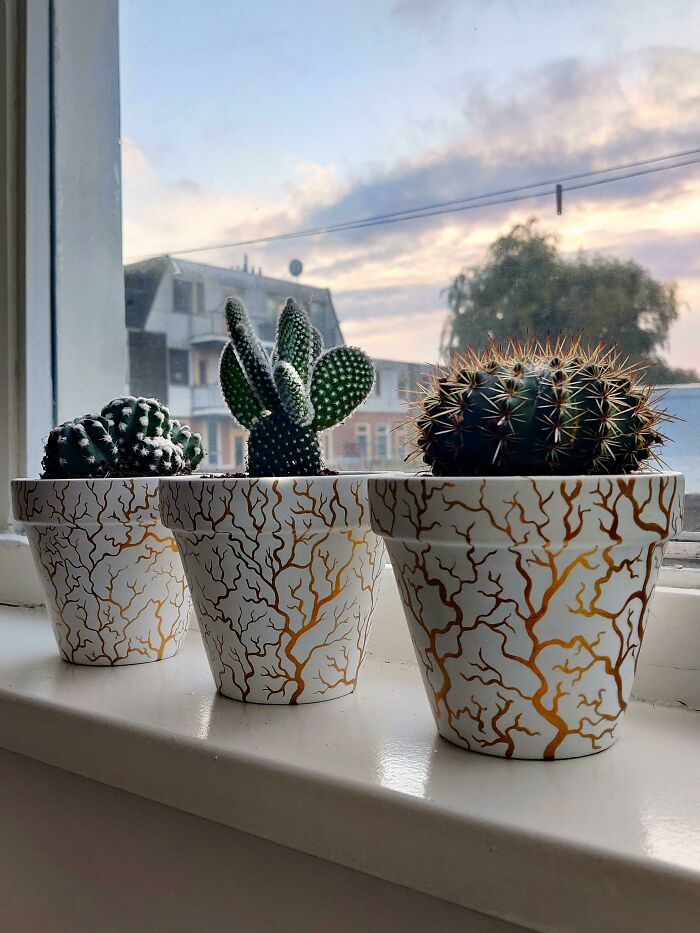 Painted These Pots For My New Cacti🥰 So Happy How They Came Out!🌵🌵