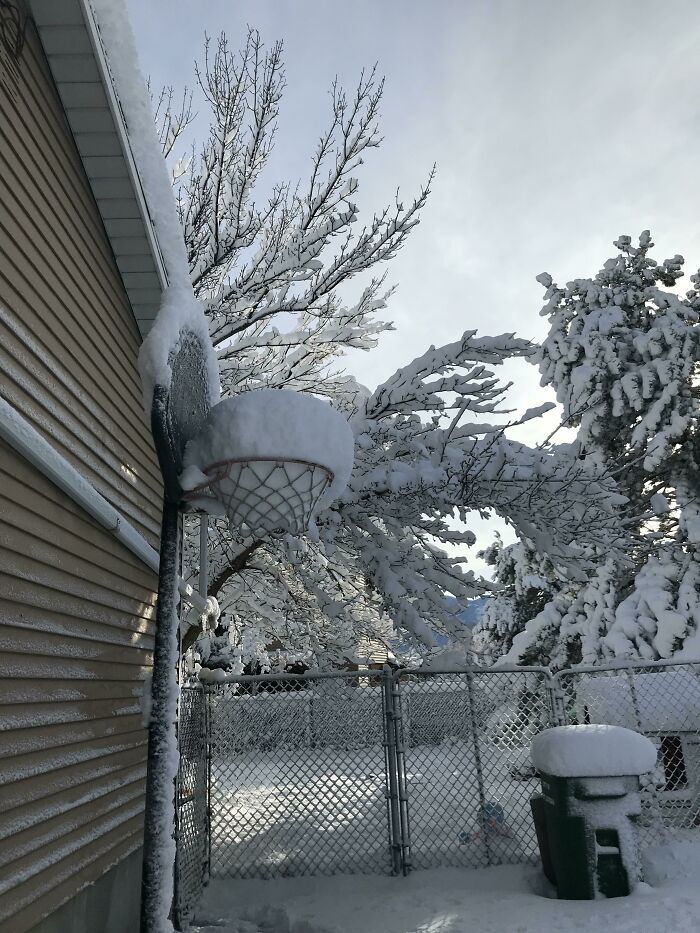 Snow Collected On Top Of My Kids’ Basketball Hoop. Utah 12.15.2021