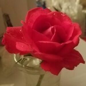 kilgoresplace avatar