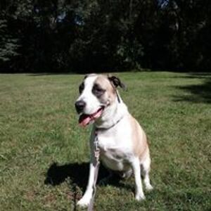 colleenscurato avatar