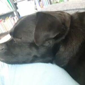 morgan_merrill-mcneal avatar