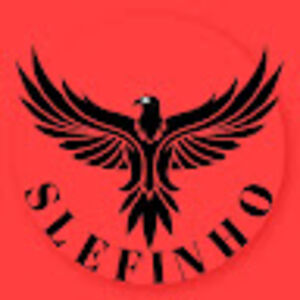 slefinho avatar