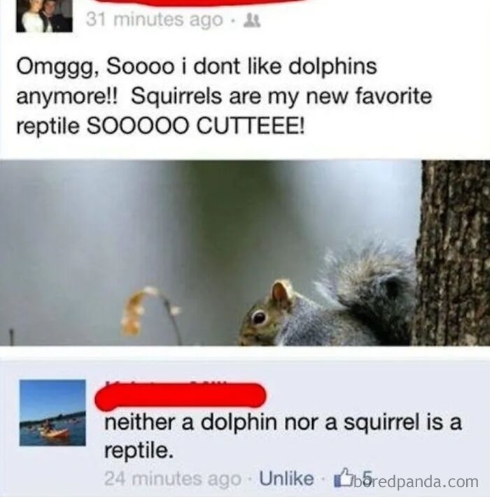 I Love Reptiles, Too...